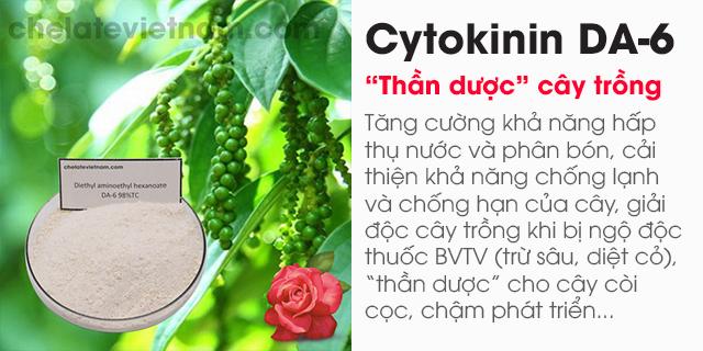 Cytokinin DA6 98% (Tăng cường sức khỏe cây trồng)